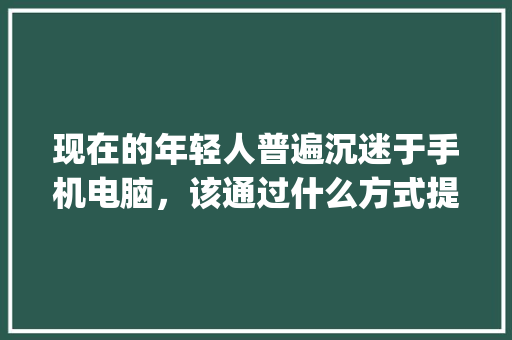 现在的年轻人普遍沉迷于手机电脑，该通过什么方式提高自己的知识水平呢_手机、电脑的基本知识