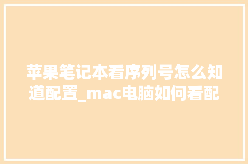 苹果笔记本看序列号怎么知道配置_mac电脑如何看配置