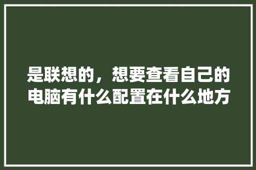 是联想的，想要查看自己的电脑有什么配置在什么地方看呀_电脑的配置文件怎么看的