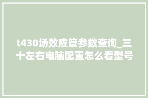 t430场效应管参数查询_三十左右电脑配置怎么看型号