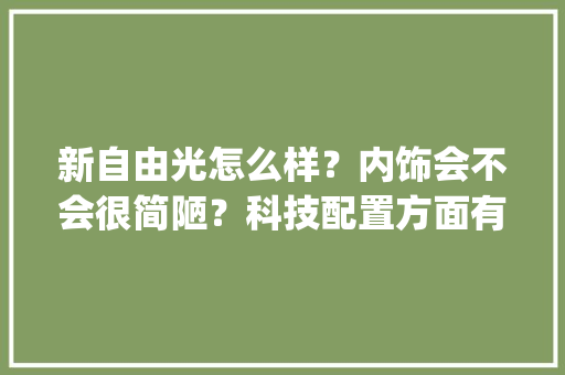 新自由光怎么样？内饰会不会很简陋？科技配置方面有哪些比较好的吗_电脑配置简陋怎么看型号