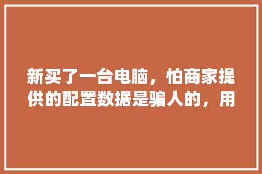 新买了一台电脑，怕商家提供的配置数据是骗人的，用鲁大师能准确检测出电脑硬件配置吗_测试电脑配置怎么看的
