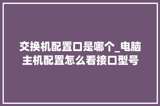 交换机配置口是哪个_电脑主机配置怎么看接口型号