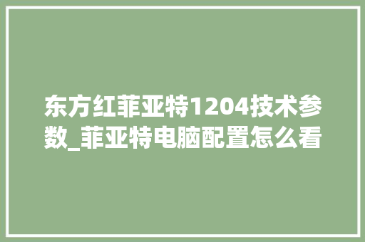 东方红菲亚特1204技术参数_菲亚特电脑配置怎么看的