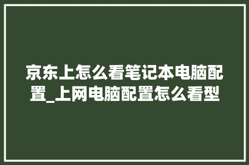 京东上怎么看笔记本电脑配置_上网电脑配置怎么看型号啊