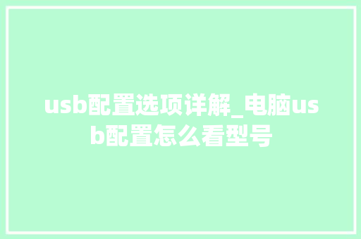 usb配置选项详解_电脑usb配置怎么看型号