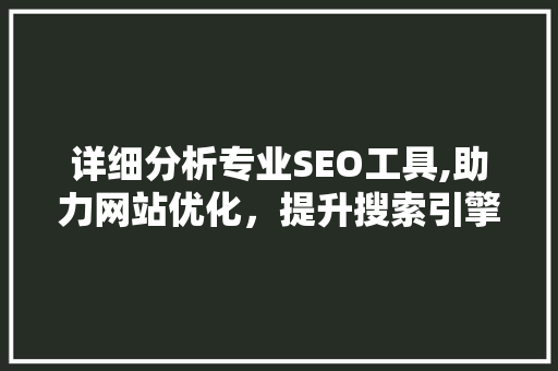 详细分析专业SEO工具,助力网站优化，提升搜索引擎排名 详细分析专业SEO工具,助力网站优化，提升搜索引擎排名 网络技术