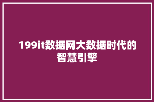 199it数据网大数据时代的智慧引擎