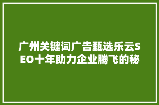 广州关键词广告甄选乐云SEO十年助力企业腾飞的秘密武器