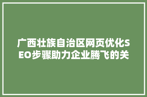 广西壮族自治区网页优化SEO步骤助力企业腾飞的关键一步