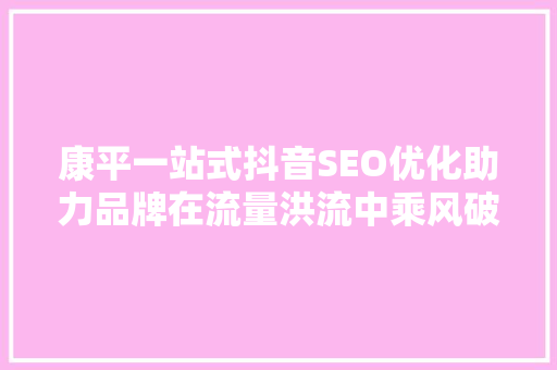 康平一站式抖音SEO优化助力品牌在流量洪流中乘风破浪