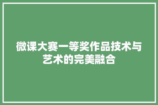 微课大赛一等奖作品技术与艺术的完美融合