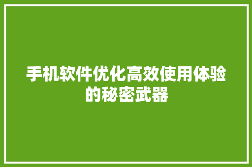手机软件优化高效使用体验的秘密武器 电脑基础