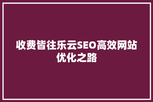 收费皆往乐云SEO高效网站优化之路