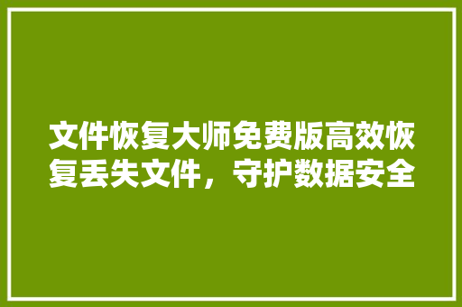 文件恢复大师免费版高效恢复丢失文件，守护数据安全