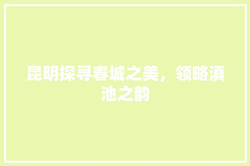 昆明探寻春城之美，领略滇池之韵
