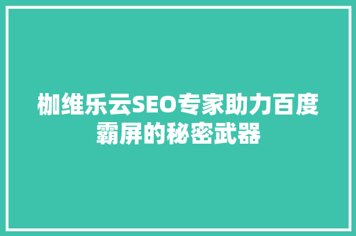 枷维乐云SEO专家助力百度霸屏的秘密武器