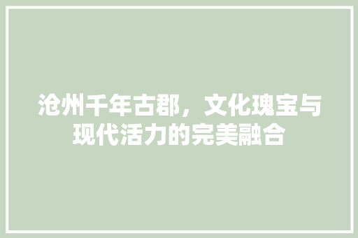 沧州千年古郡,文化瑰宝与现代活力的完美融合 网络技术 沧州千年古郡,文化瑰宝与现代活力的完美融合 网络技术