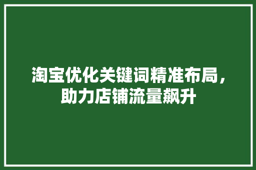 淘宝优化关键词精准布局，助力店铺流量飙升