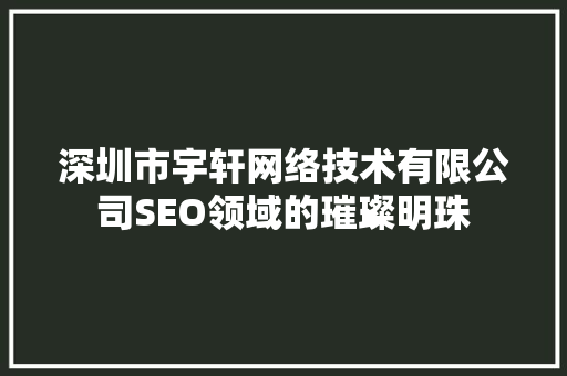 深圳市宇轩网络技术有限公司SEO领域的璀璨明珠 电脑故障维修