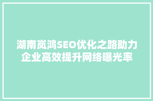 湖南岚鸿SEO优化之路助力企业高效提升网络曝光率