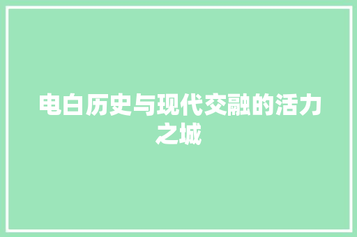 电白历史与现代交融的活力之城