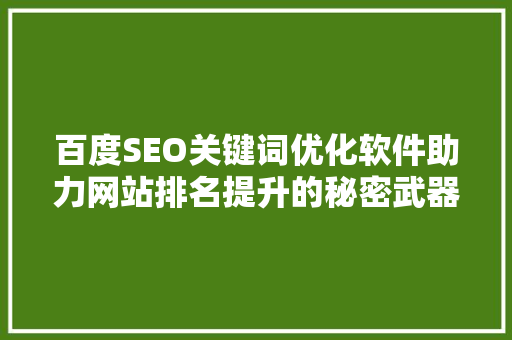 百度SEO关键词优化软件助力网站排名提升的秘密武器