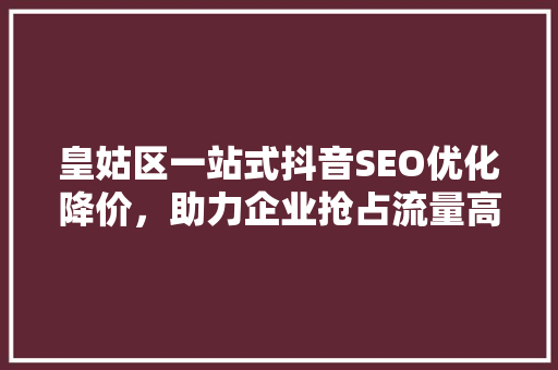 皇姑区一站式抖音SEO优化降价，助力企业抢占流量高地