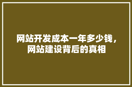 网站开发成本一年多少钱，网站建设背后的真相