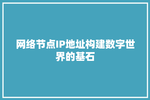 网络节点IP地址构建数字世界的基石