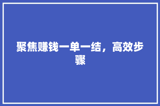 聚焦赚钱一单一结，高效步骤