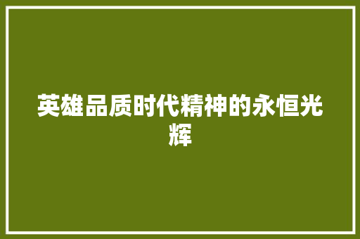 英雄品质时代精神的永恒光辉