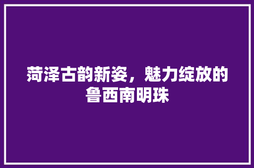 菏泽古韵新姿，魅力绽放的鲁西南明珠