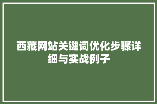 西藏网站关键词优化步骤详细与实战例子