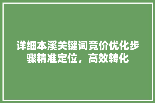 详细本溪关键词竞价优化步骤精准定位，高效转化