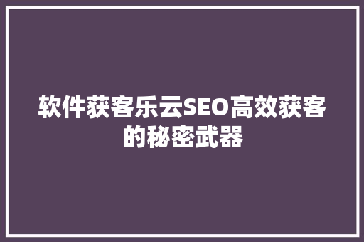软件获客乐云SEO高效获客的秘密武器 软件获客乐云SEO高效获客的秘密武器