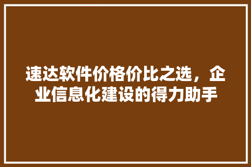 速达软件价格价比之选，企业信息化建设的得力助手