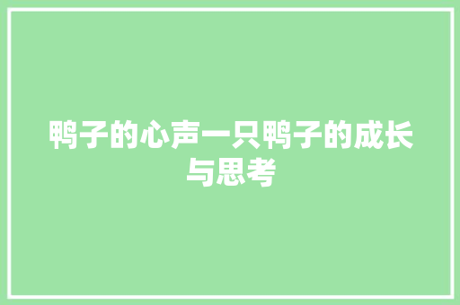 鸭子的心声一只鸭子的成长与思考 鸭子的心声一只鸭子的成长与思考