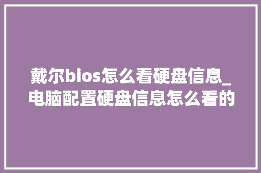 戴尔bios怎么看硬盘信息_电脑配置硬盘信息怎么看的 电脑配置