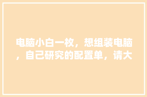 电脑小白一枚，想组装电脑，自己研究的配置单，请大神多多指点_小白怎么看电脑真实配置参数
