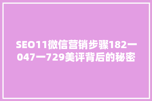 SEO11微信营销步骤182一047一729美评背后的秘密