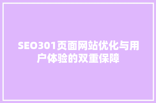 SEO301页面网站优化与用户体验的双重保障