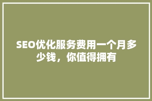 SEO优化服务费用一个月多少钱，你值得拥有