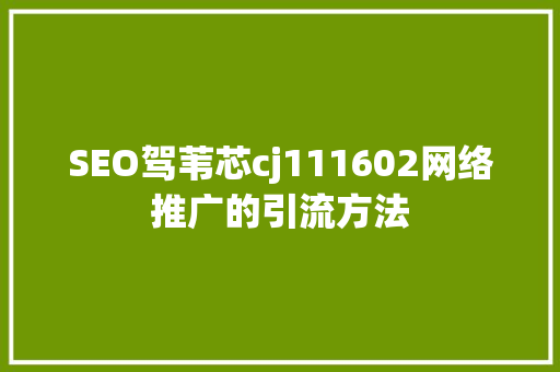 SEO驾苇芯cj111602网络推广的引流方法 SEO驾苇芯cj111602网络推广的引流方法