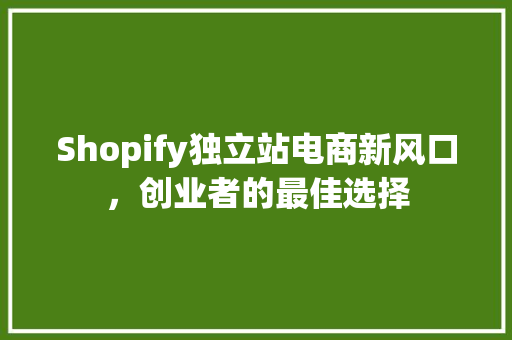 Shopify独立站电商新风口,创业者的最佳选择 Shopify独立站电商新风口,创业者的最佳选择