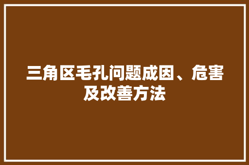 三角区毛孔问题成因、危害及改善方法