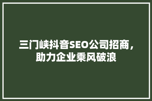 三门峡抖音SEO公司招商，助力企业乘风破浪