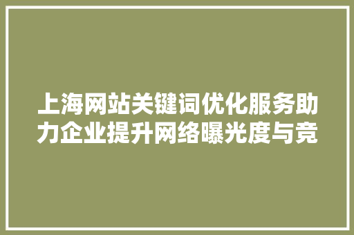 上海网站关键词优化服务助力企业提升网络曝光度与竞争力
