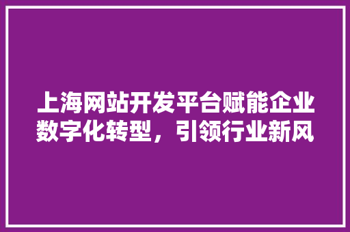 上海网站开发平台赋能企业数字化转型，引领行业新风向