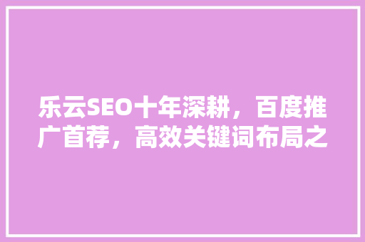 乐云SEO十年深耕，百度推广首荐，高效关键词布局之路